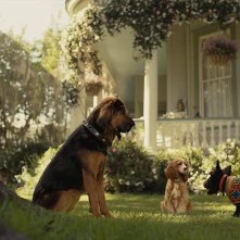 Lilli e il vagabondo: una sequenza del film