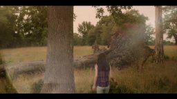 Survive The Night - Trailer