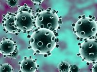 Coronavirus: i sintomi del Covid-19 in un video