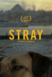 Locandina di Stray