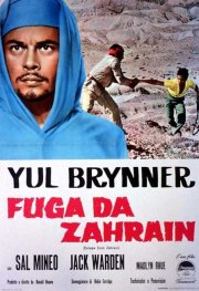 Locandina di Fuga da Zahrain