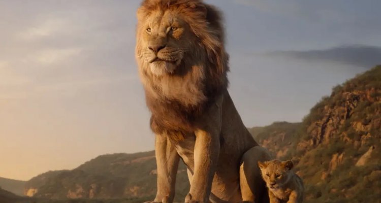 Dove è Ambientata La Serie Il Re