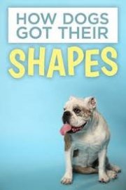 Locandina di How Dogs Got Their Shapes