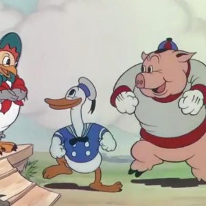 La gallinella saggia: un'immagine del corto Disney