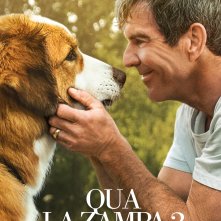 Locandina di Qua la zampa 2 - Un amico è per sempre