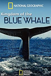Locandina di Kingdom of the Blue Whale
