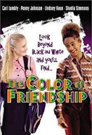 Locandina di The Color of Friendship
