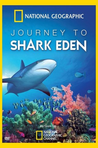 Locandina di Journey to Shark Eden