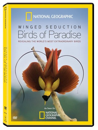 Locandina di Winged Seduction: Birds of Paradise