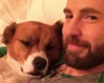 Chris Evans racconta la sua quarantena: 'Sembra la vita di un monaco, ma a me piace così'