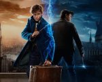 Harry Potter: una società USA paga 1.000 dollari per guardare tutti i film della saga