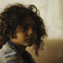 Inverno: un primo piano di Christian Petaroscia