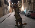 Jurassic Park: il dinosauro in libertà nelle strade di Gubbio fa impazzire la rete