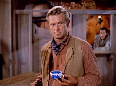 Johnny Guitar Sterling Hayden