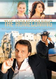 Locandina di La mia bella famiglia italiana