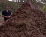 Jurassic Park 3: quanta cacca di Spinosauro è servita per realizzare il film?