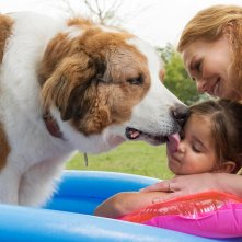 Qua la zampa 2 - Un amico è per sempre: una scena del film