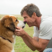Qua la zampa 2 - Un amico è per sempre: Dennis Quaid in una scena del film