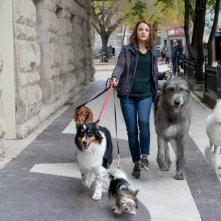 Qua la zampa 2 - Un amico è per sempre: un'immagine del film