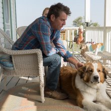 Qua la zampa 2 - Un amico è per sempre: una scena con Dennis Quaid