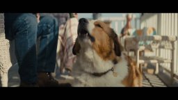 Qua La Zampa 2 - Un amico è per sempre - Trailer