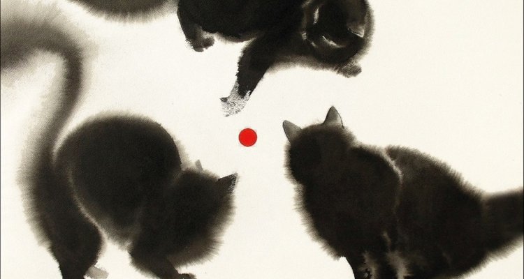 Se I Gatti Scomparissero Dal Mondo Film