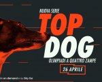 Top Dog: Olimpiadi a 4 zampe, il nuovo reality show da stasera su Blaze