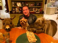 Arnold Schwarzenegger interrotto dal suo asinello: 'Non fa i suoi bisogni in casa'