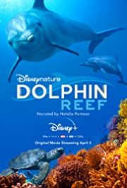 Locandina di Dolphin Reef