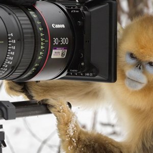 Expedition China: una curiosa immagine