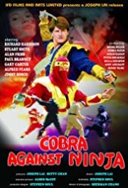 Locandina di Cobra contro Ninja
