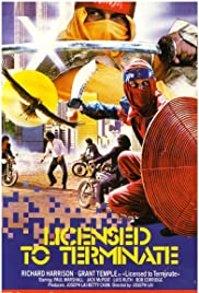 Locandina di Ninja Operation: Licensed to Terminate