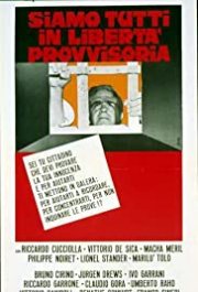 Locandina di Siamo tutti in libertà provvisoria