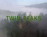 Twin Peaks: un coro di gatti interpreta il tema musicale: il video è virale