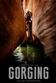 Locandina di Gorging