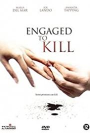 Locandina di La vendetta ha i suoi segreti