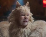 Cats, Judi Dench: 'Il mio look? Come se avessi cinque volpi che si accoppiano sulla schiena'