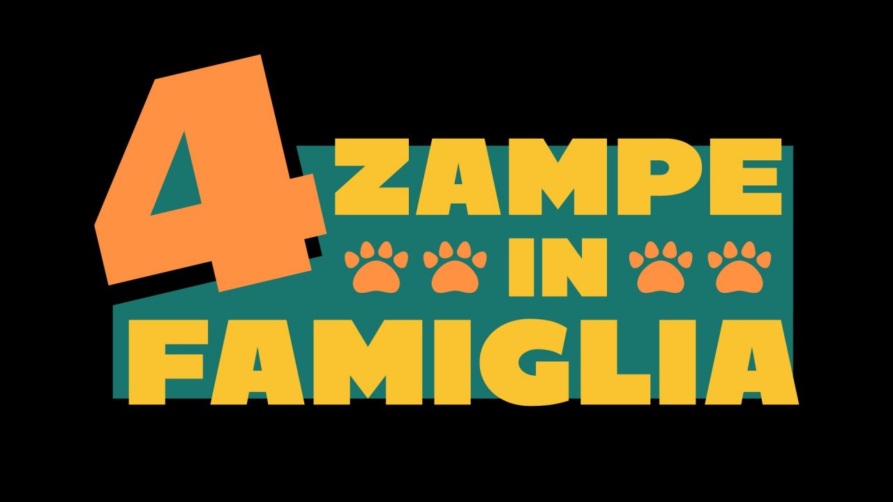 I nostri amici animali protagonisti di 4 zampe in famiglia su Rai2 - RAI  Ufficio Stampa