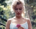 Marilyn Monroe: la sua skin care svelata in un documento ufficiale