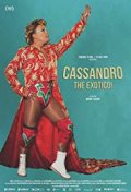 Locandina di Cassandro, the Exotico!