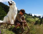 Belle & Sebastien: di che razza è il cane del film?