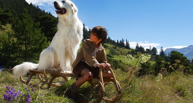 Che Razza E Belle Di Belle E Sebastien