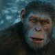 Il Pianeta delle Scimmie: Disney potrebbe iniziare a breve la produzione del nuovo film