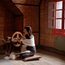 White Flowers: un'immagine