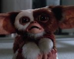 Gremlins, su Netflix in streaming da oggi