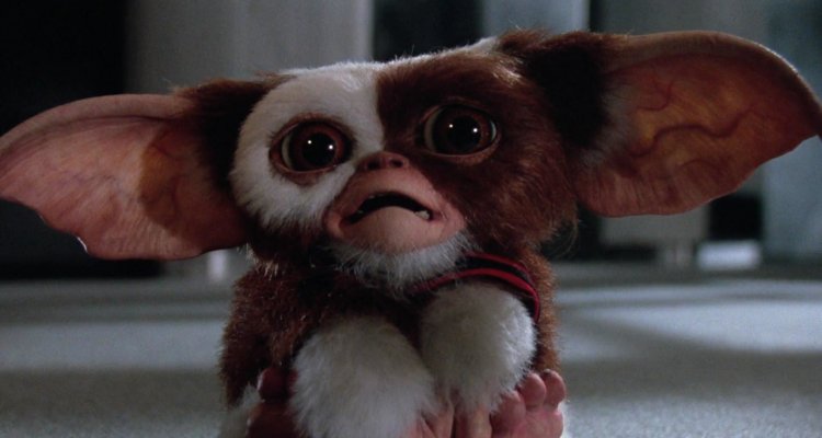 Gremlins Su Netflix In Streaming Da Oggi Movieplayer It