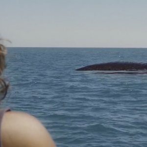 Profondo: una foto del film