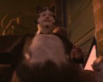 Cats, la performance di James Corden non ha convinto nemmeno Andrew Lloyd Webber