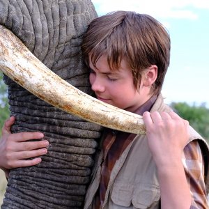 Il ragazzo e il grande elefante: una sequenza del film