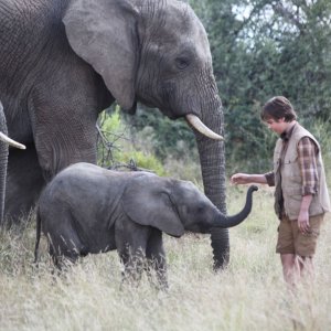 Il ragazzo e il grande elefante: una scena del film